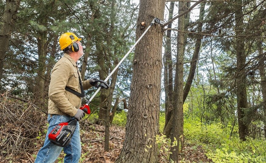 How To Trim large trees Safely