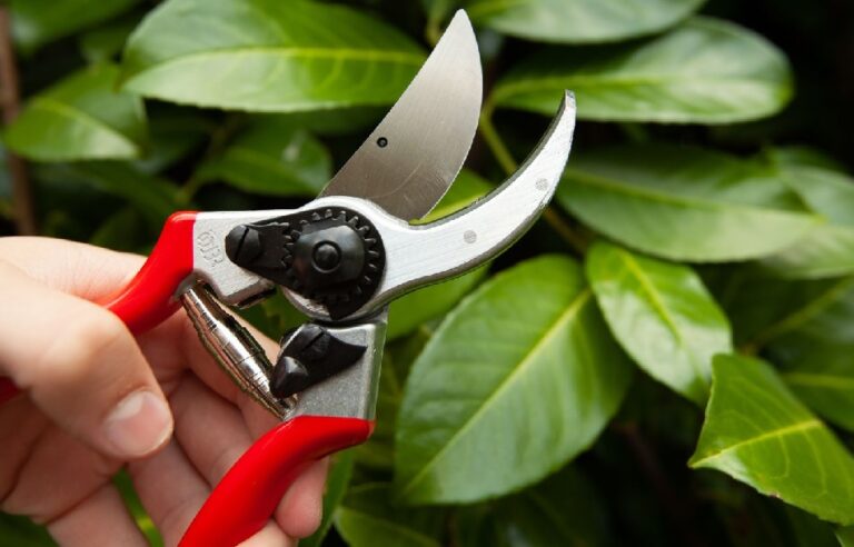 Best Ratchet Pruning Shears