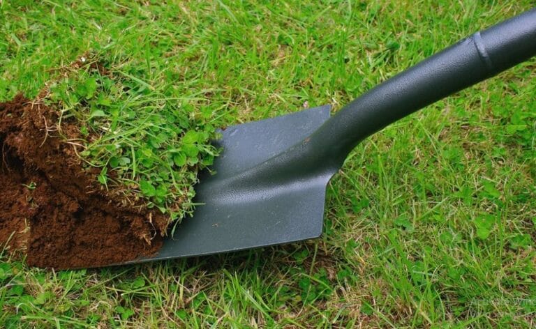 Best Shovel For Digging Up Grass