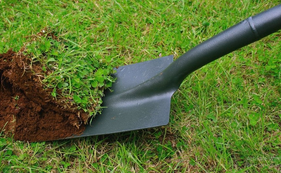 Best Shovel For Digging Up Grass