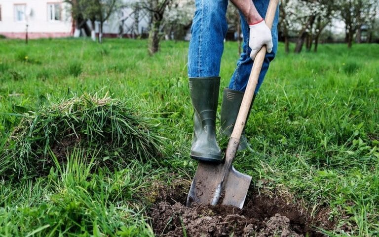 Best Shovel For Rocky Soil