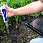 Best Soil Test Kit For Lawns