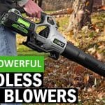 Most Powerful Cordless Leaf Blower