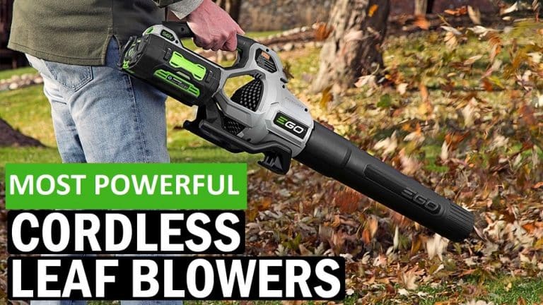 Most Powerful Cordless Leaf Blower