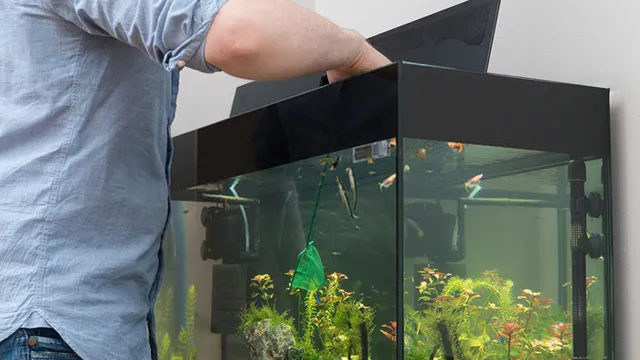 how to get an aquariums bactiria built up
