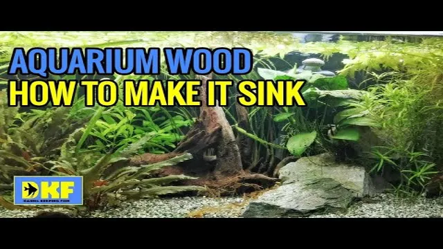 how to get aquarium driftwood to sink