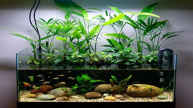 How to Get Aquarium Fish to Grow: Tips and Tricks for Maximizing Growth Potential