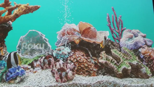 How to Get Aquarium on Roku: Step-by-Step Guide to Creating a Relaxing Underwater World