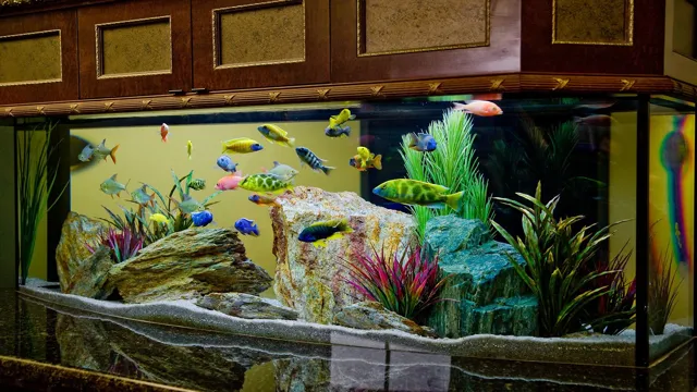 how to get aquarium ready for fish