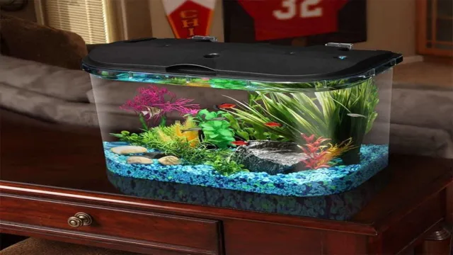 How to Get Aquarium Ready for Fish: Tips and Tricks for a Healthy and Happy Aquarium Setup