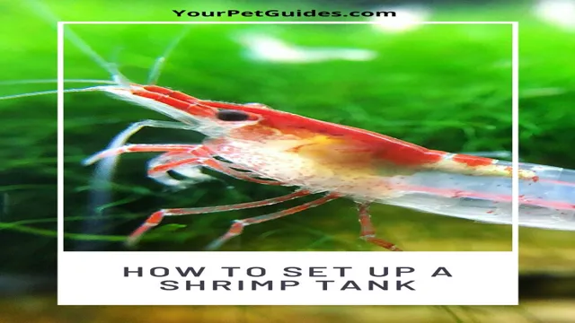 how to get aquarium shrimp cheat