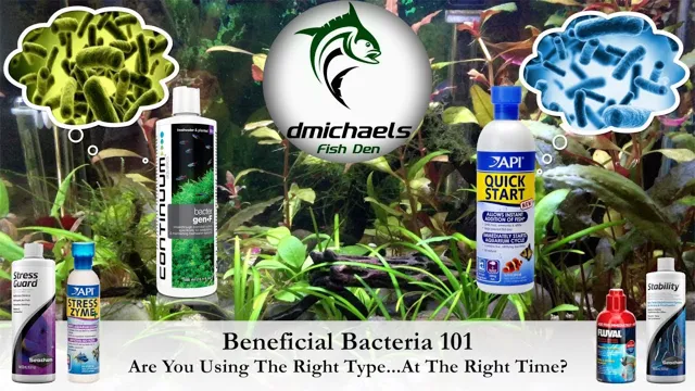 how to get beneficial bacteria in aquarium