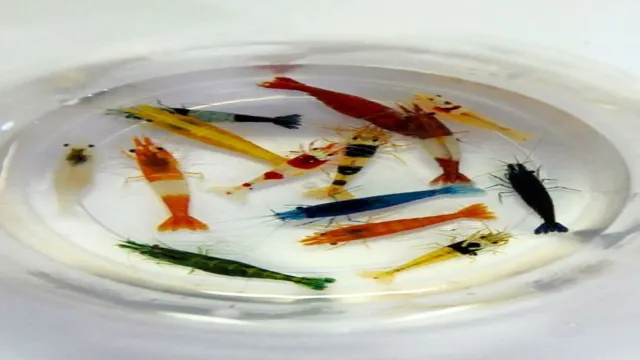 how to get best color out of aquarium shrimp