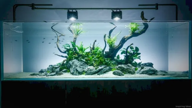 how to get better resolution insane aquarium