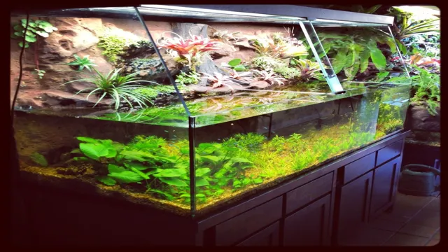 how to get big aquarium plants