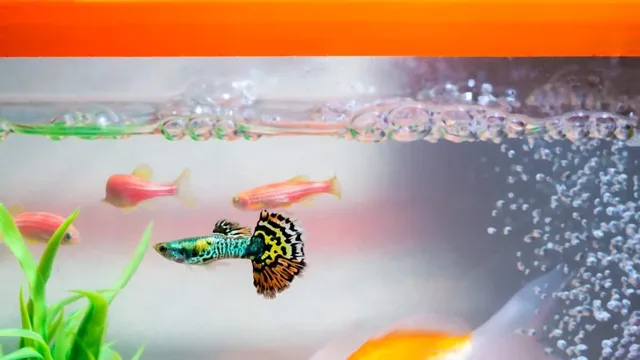 how to get bubbles off aquarium