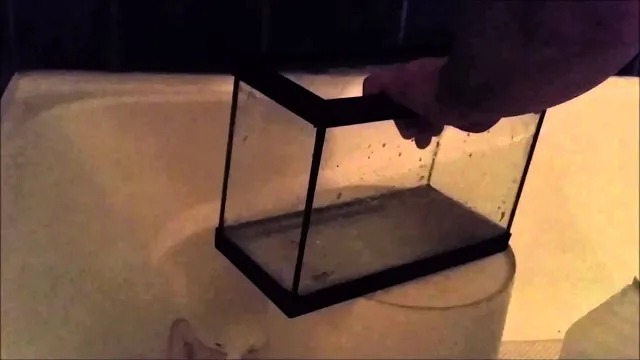 how to get calcium off of aquarium glass