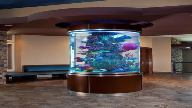 how to get cheap large aquariums