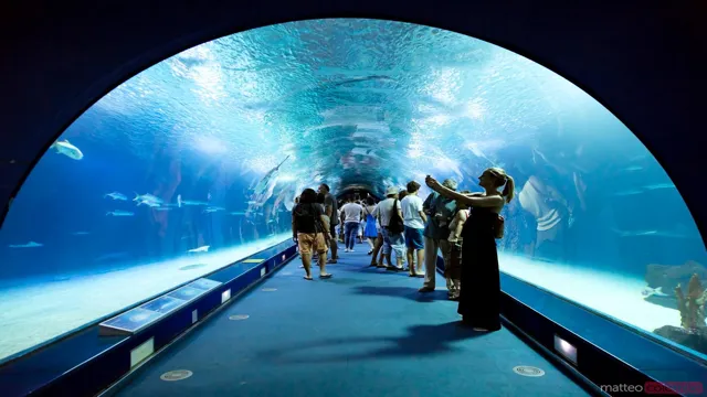how to get city funding for an aquarium