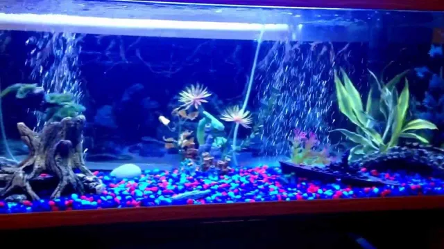 how to get clear water in 60 gallon aquarium
