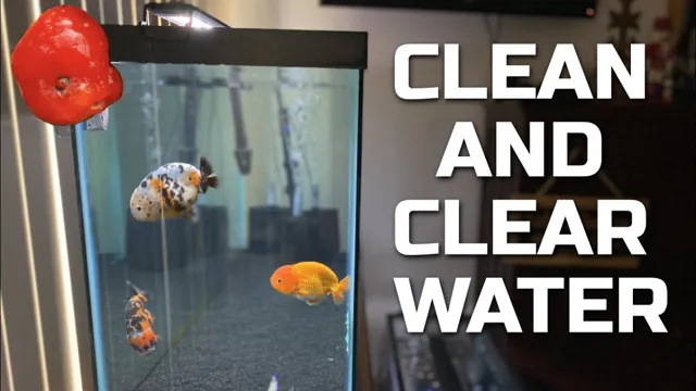 how to get clear water in aquarium