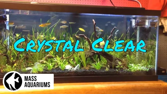 how to get clear water in aquarium