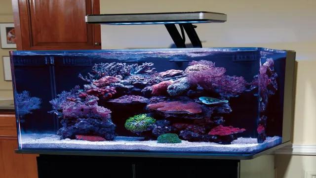 how to get coral off of glass aquarium