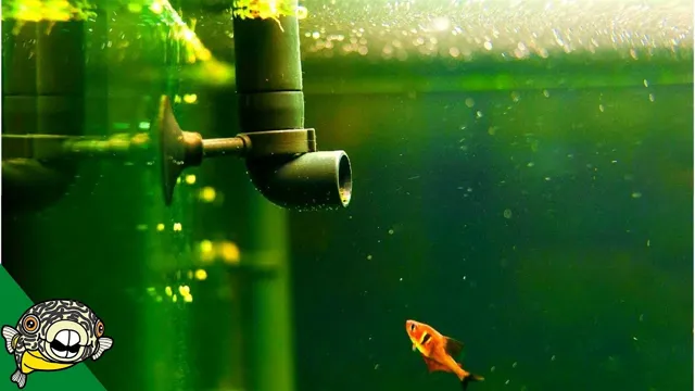 how to get correct water movement in aquarium