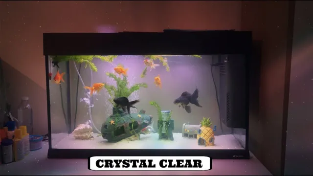 how to get crystal clear marine aquarium water