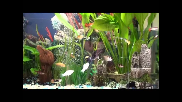 how to get crystal clear water in aquarium aquaclear