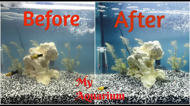 How to Get Crystal Clear Water in Aquarium Aquaclear: Tips and Tricks