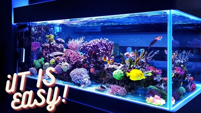 how to get crystal clear water in aquarium hindi