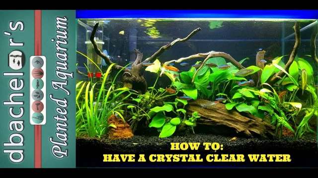 how to get crystal clear water in freshwater aquarium