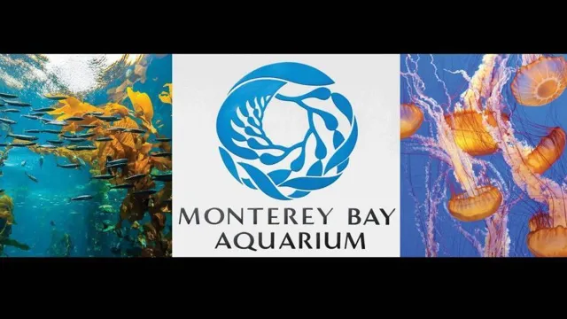 How to Get Discount Monterey Bay Aquarium Tickets: Insider Tips and Tricks