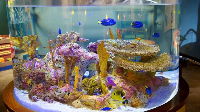 how to get discount rates to sc aquarium