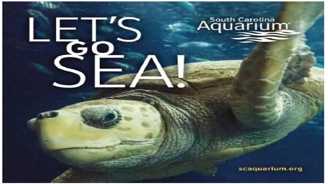 How to Get Discount Rates to SC Aquarium: Insider Tips and Tricks