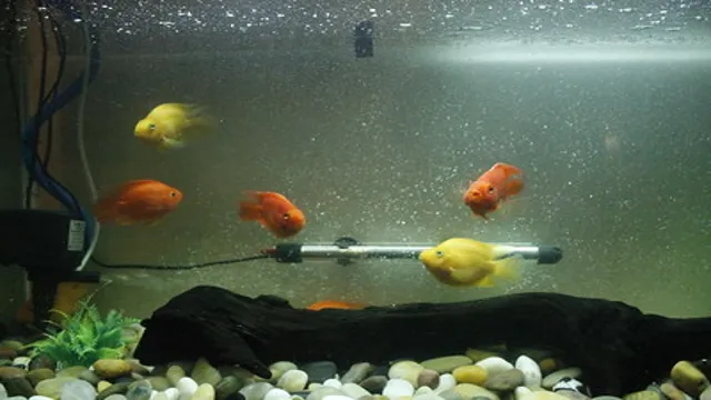 how to get fish out of an aquarium