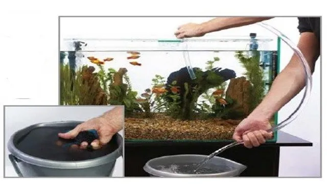 how to get fish waste out of the aquarium
