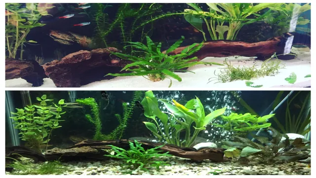 how to get flow without creating sand dunes aquarium