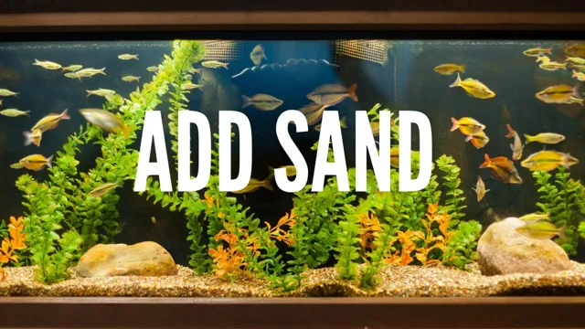 How to Get Flow Without Creating Sand Dunes in Your Aquarium – Expert Tips