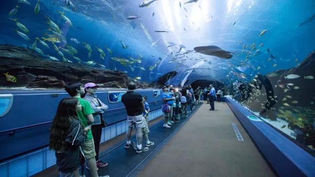 How to Get from Atlanta Airport to Georgia Aquarium in Easy…