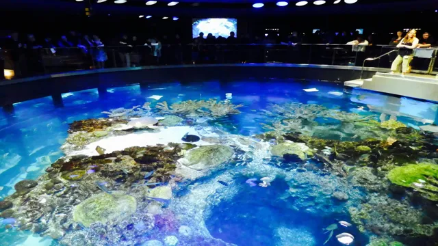 How to Get from Boston Airport to Boston Aquarium: A Comprehensive Guide