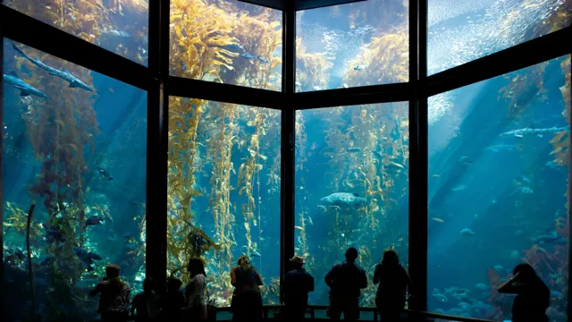 How to Get from Monterey Conference Center to Aquarium: Your Essential…