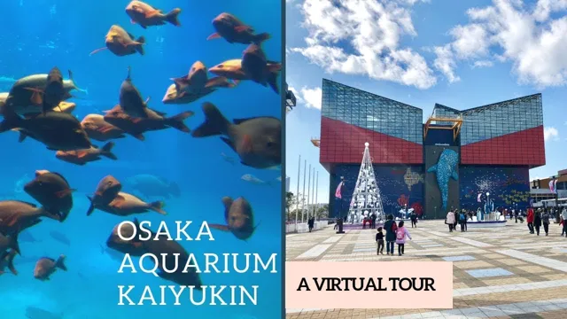 how to get from namba to osaka aquarium