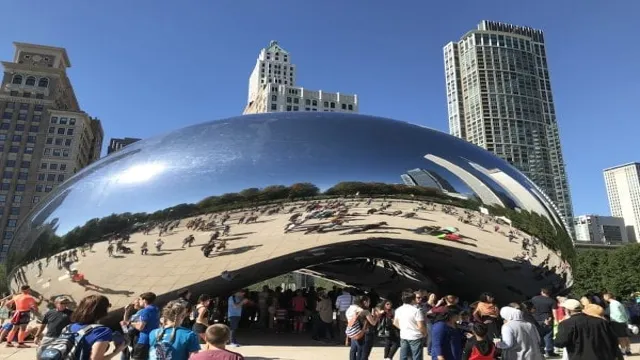 How to Get from Shedd Aquarium to Millennium Park: A Stress-free Guide