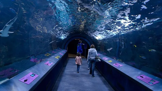how to get from union station chicago to shedd aquarium
