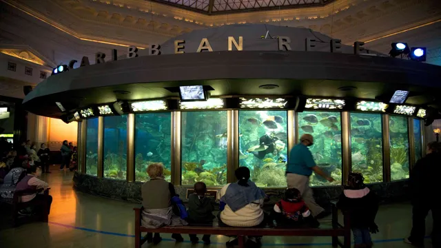 how to get from union station to the shedd aquarium