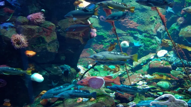 how to get from vancouver airport to aquarium