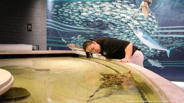 How to Get from Aquarium to Cloud Gate: A Complete Guide