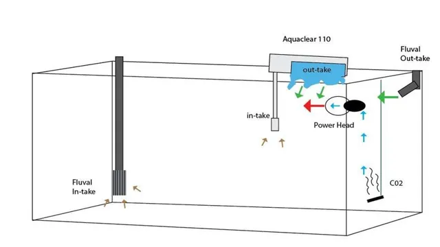 How to get good circulation in aquarium: Tips and Tricks for Improved Water Flow